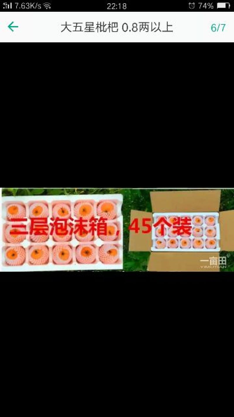 红五星枇杷0.4两以上