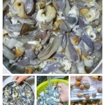 蜗牛