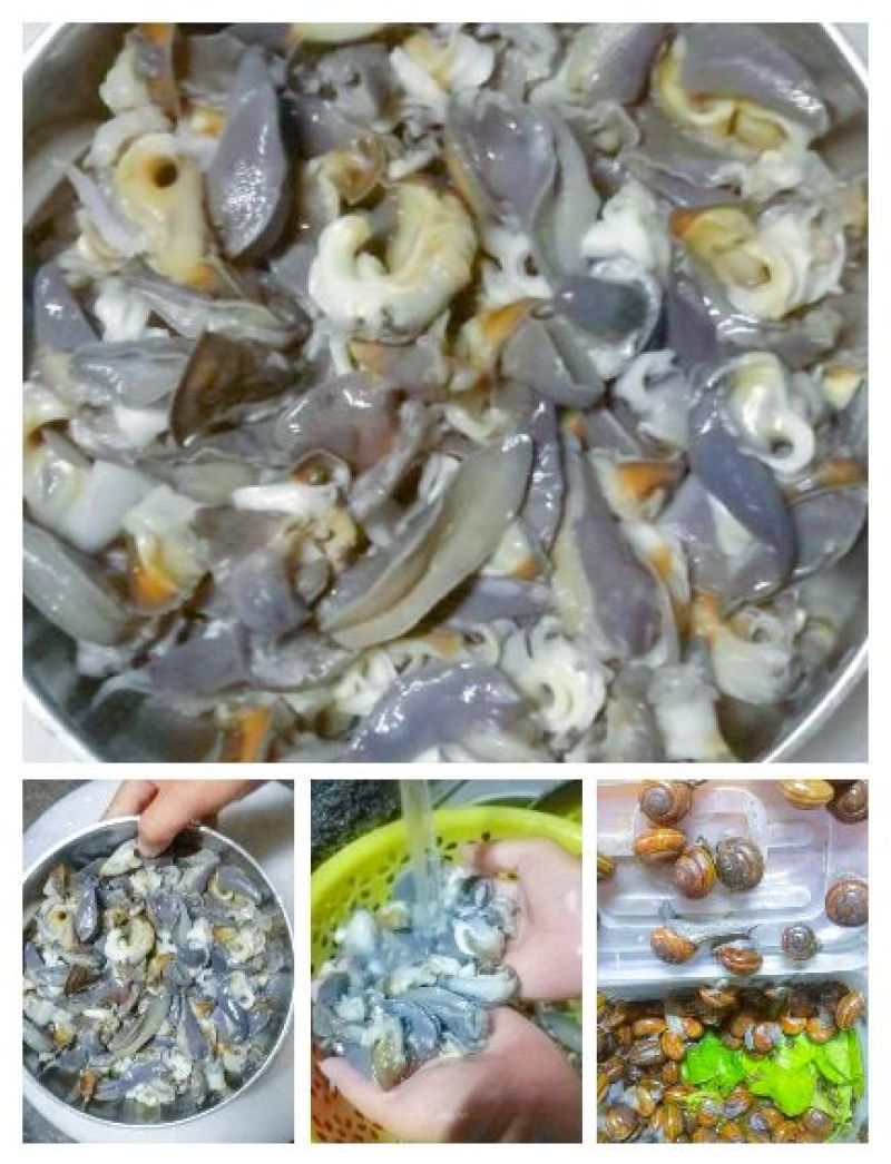 蜗牛