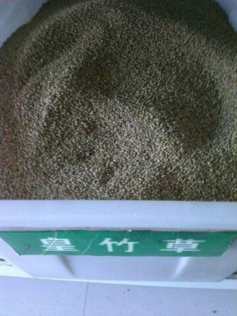 皇竹草种子98%以上