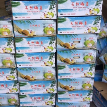 椰青2.5~3斤