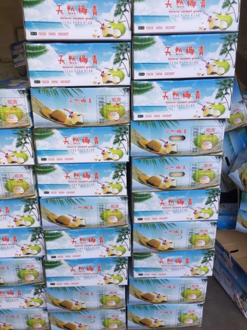 椰青2.5~3斤