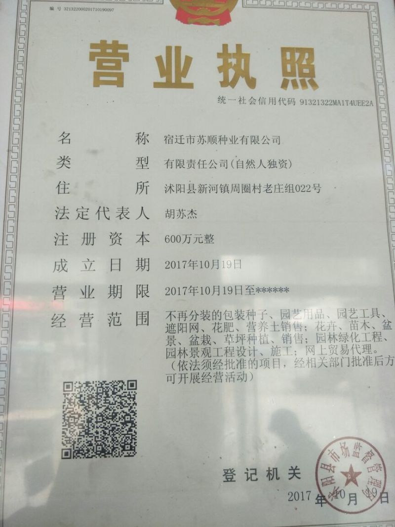 草坪种子