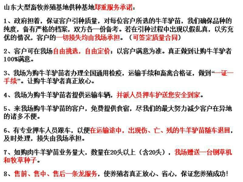 德州驴100~200斤