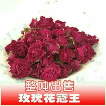 玫瑰花冠无硫一级平阴玫瑰大花冠基地直供
