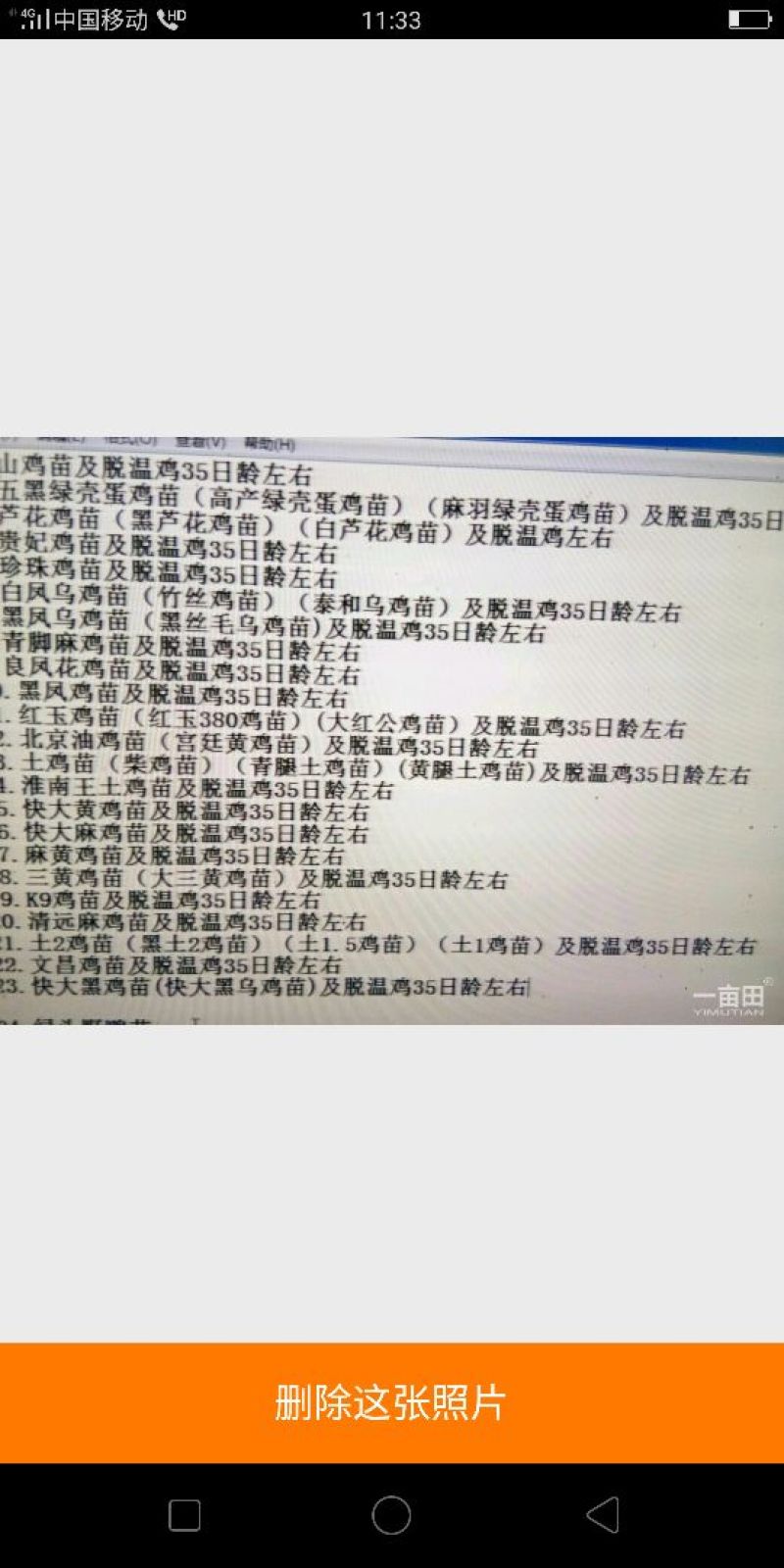 麻黄鸡苗K9鸡苗五黑芦花贵妃青脚麻快大乌麻