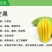 嫁接金煌，桂七，四季芒，红贵妃，基地直发，一手货源
