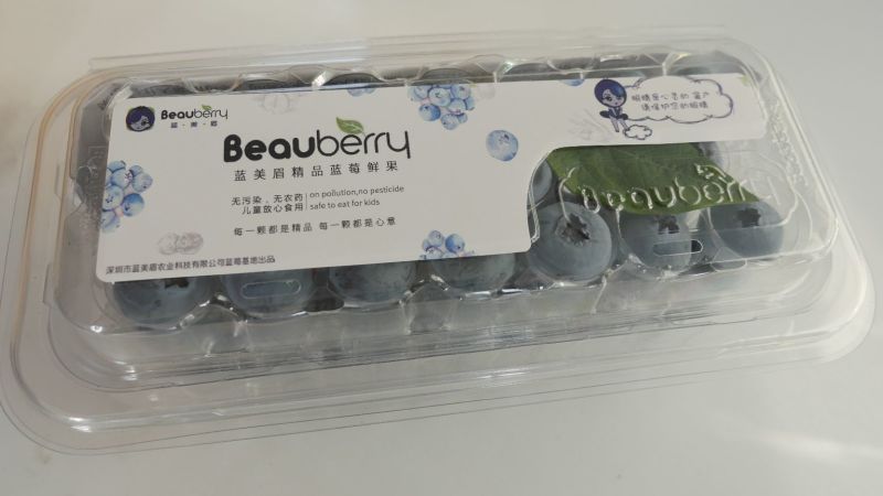 蓝丰蓝莓鲜果12~14mm以上