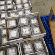 蓝丰蓝莓鲜果12~14mm以上
