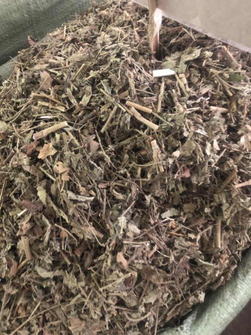 仙鹤草