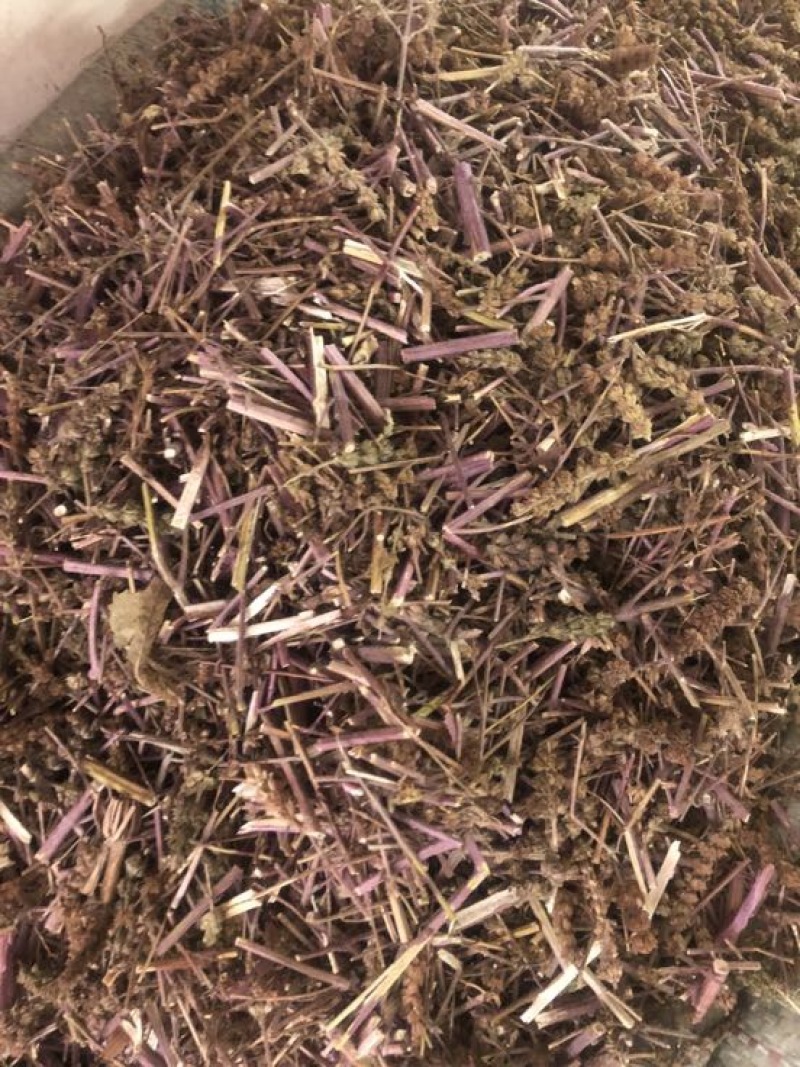 荆芥统片