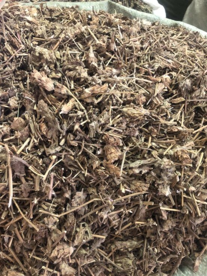 夏枯草