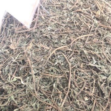 旱莲草