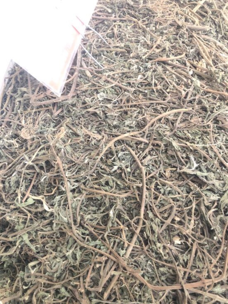 旱莲草