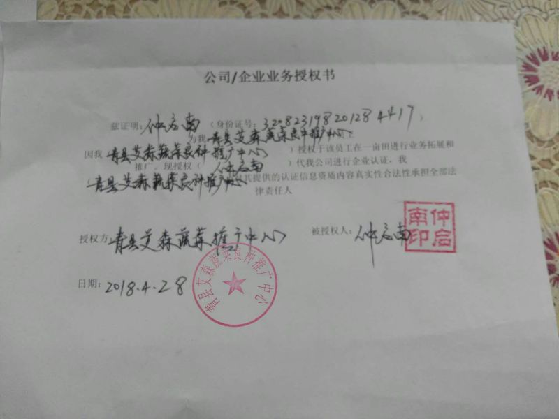 日本钢葱种子97%以上