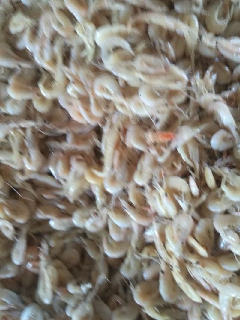 蹦虾（勾虾）麻辣加工，炸货，小吃添加