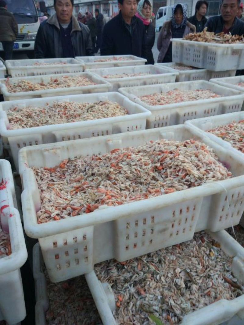 蹦虾（勾虾）麻辣加工，炸货，小吃添加