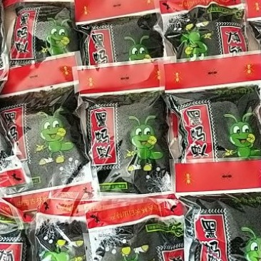 野生黑蚂蚁