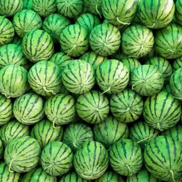 甜王西瓜🍉承接全国代办代发