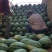 甜王西瓜🍉承接全国代办代发