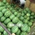 甜王西瓜🍉承接全国代办代发