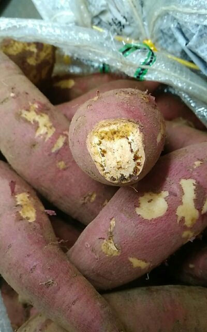 鸡蛋黄红薯商品薯黄心1两以上