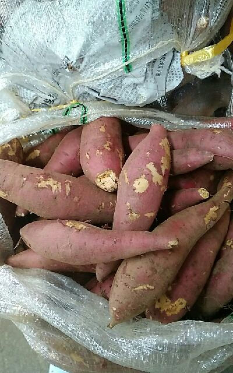 鸡蛋黄红薯商品薯黄心1两以上