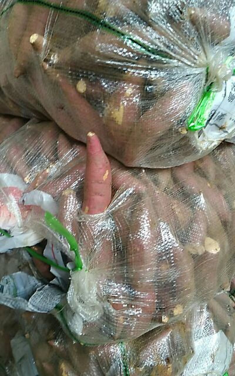 鸡蛋黄红薯商品薯黄心1两以上