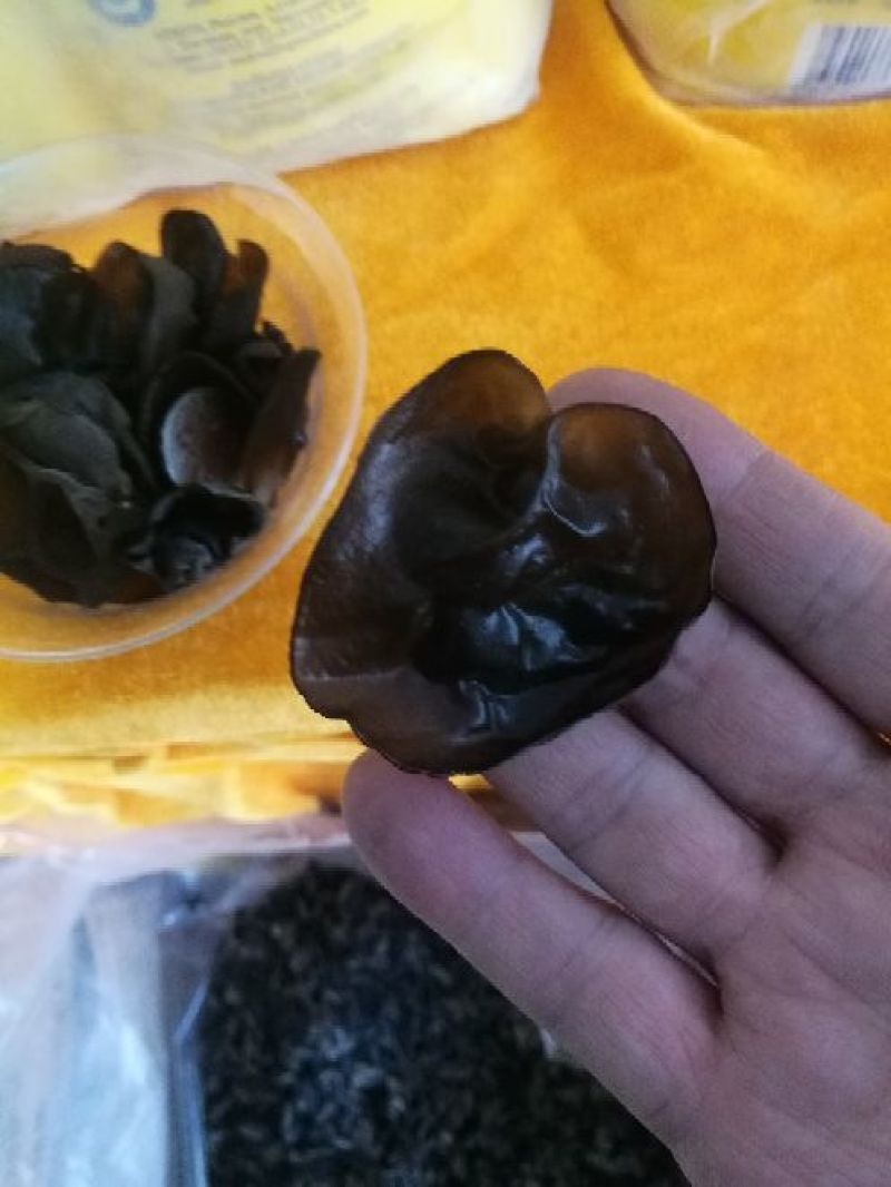 木耳一级