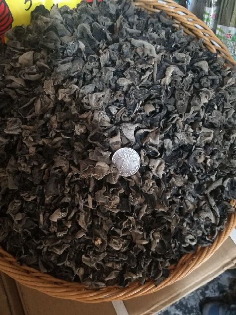 木耳一级