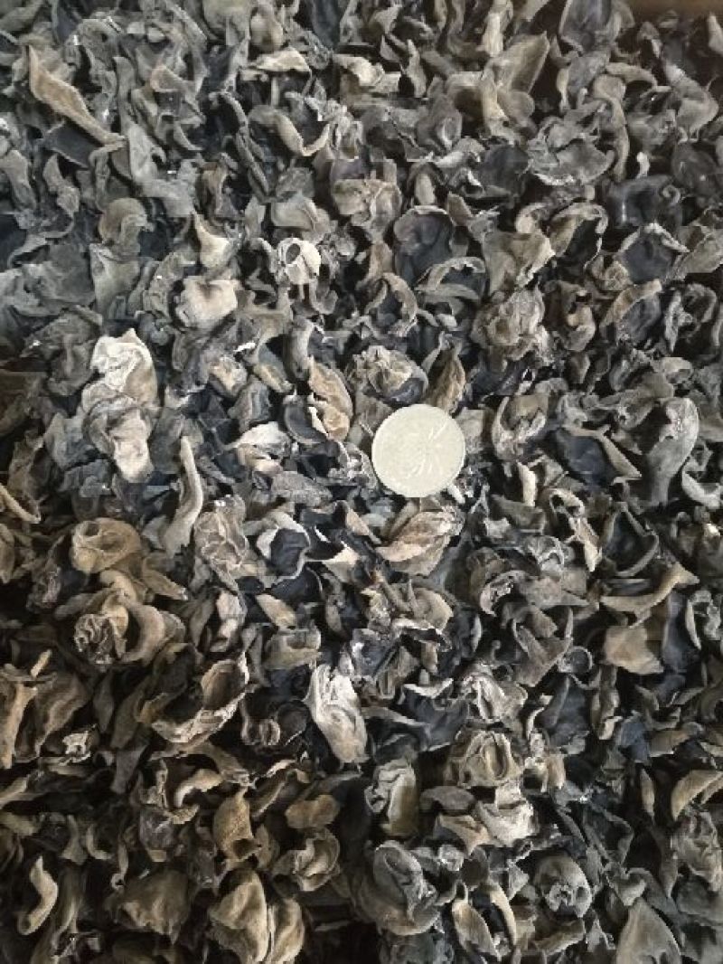 木耳特级