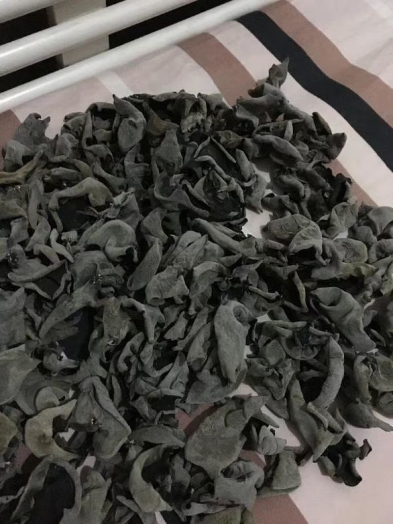 木耳特级