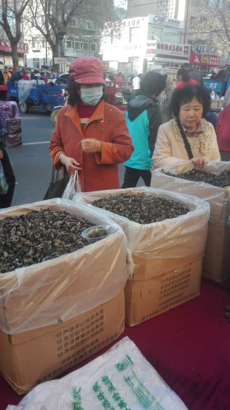 木耳一级