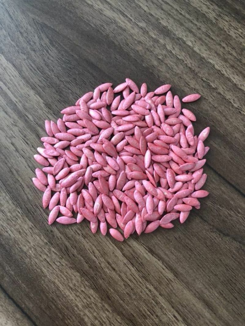 乾德777强雌油亮黄瓜1000粒/袋抗白粉蹿头快
