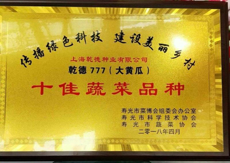 乾德777强雌油亮黄瓜1000粒/袋抗白粉蹿头快