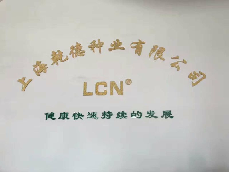 乾德777强雌油亮黄瓜1000粒/袋抗白粉蹿头快
