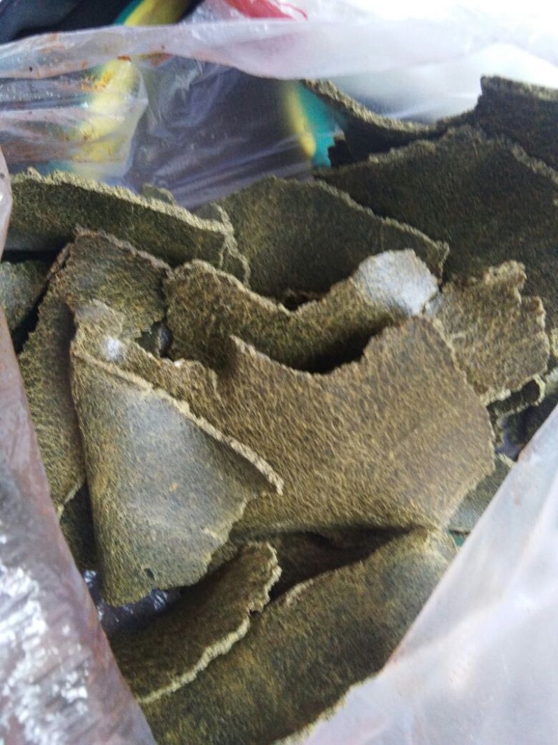 菜籽青饼加工利用