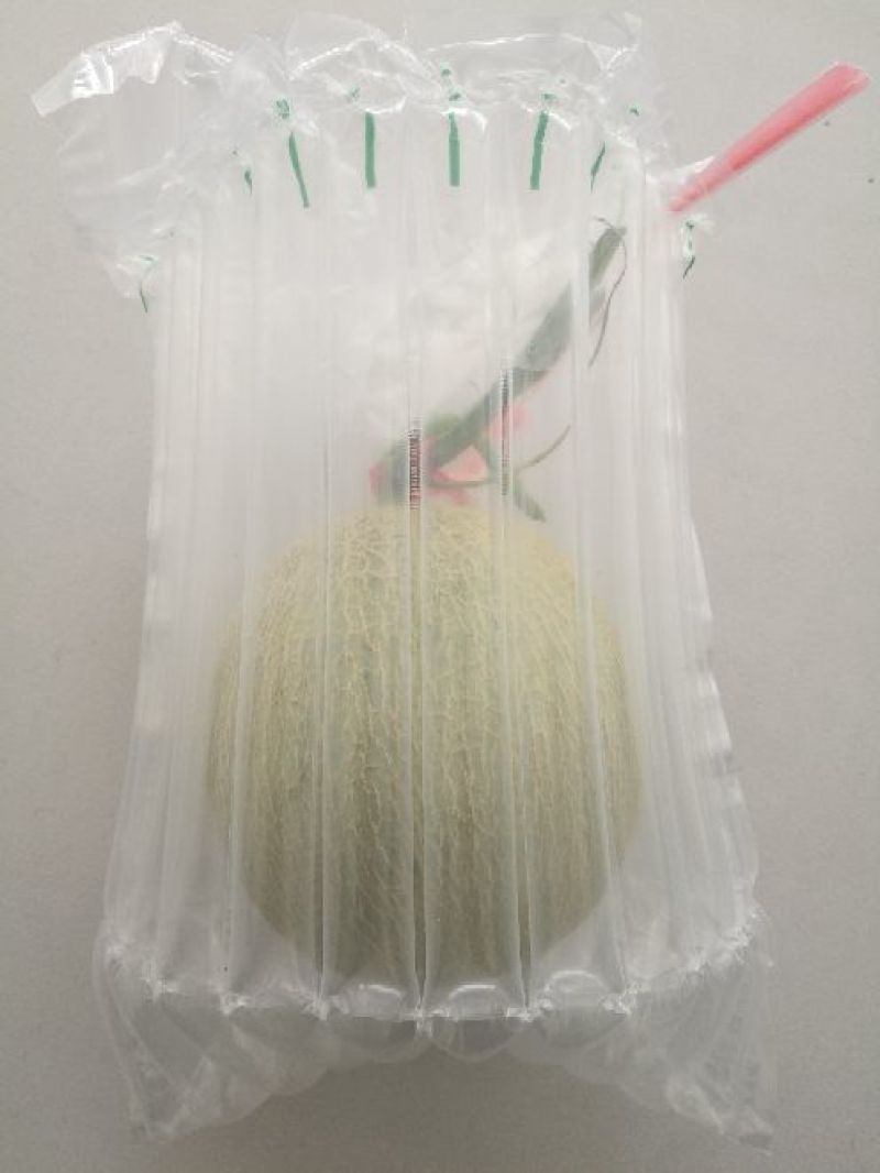 海阳网纹瓜各种规格有货！开春第一瓜，香甜软糯，品质稳定