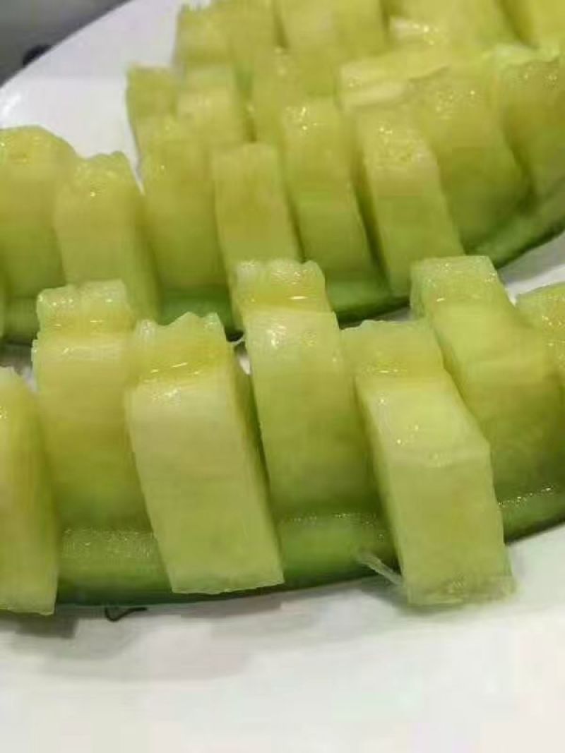海阳网纹瓜各种规格有货！开春第一瓜，香甜软糯，品质稳定