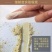 三七40头.厂家批发.足头药厂专供种植