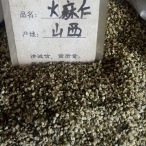 中药材批发麻仁火麻仁