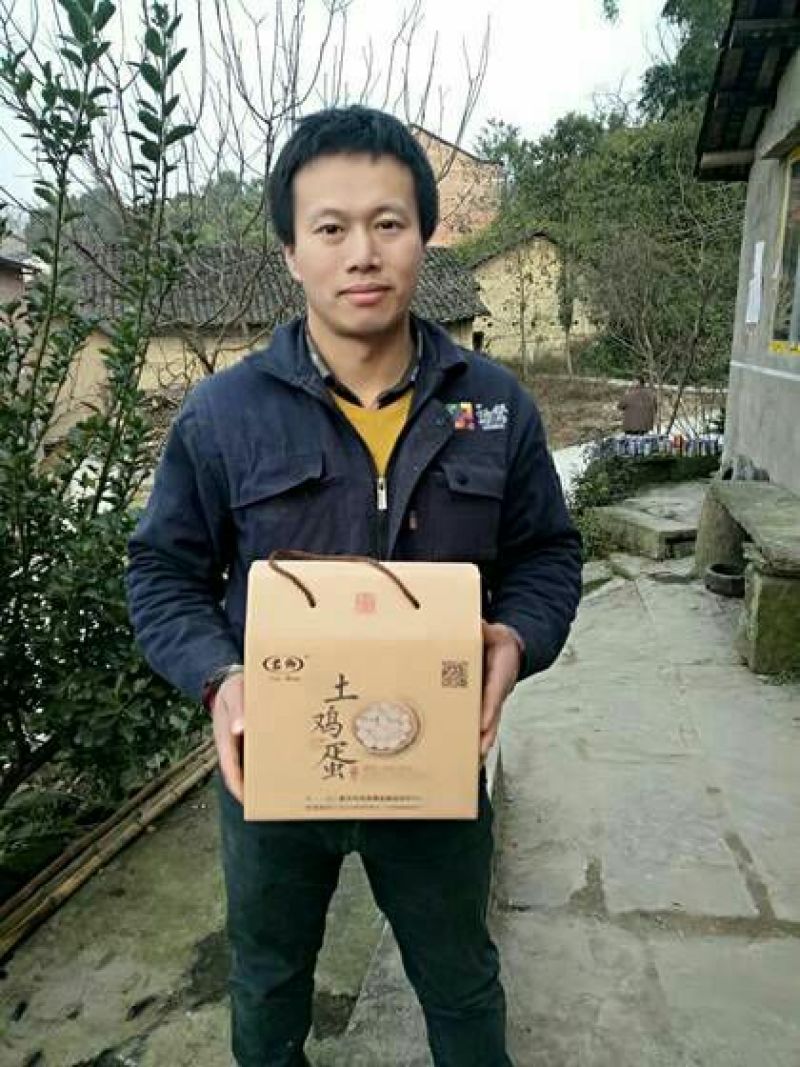 野生放养水果虫草土鸡蛋