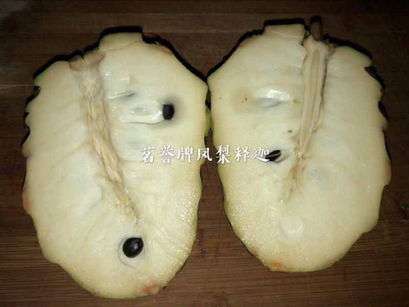 台湾凤梨释迦苗台湾引进