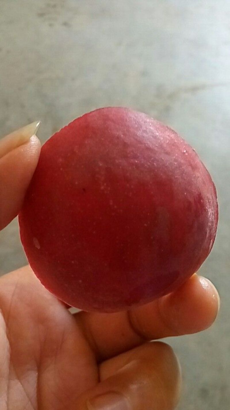 各品种桃子丰产价廉！各品种桃子丰产价廉！各品种桃子丰产价