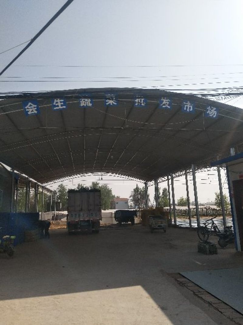 精品密刺黄瓜基地直发货源充足品质保证欢迎选购