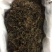 浙江梅干菜散装50斤一袋，产地直销，欢迎订购！