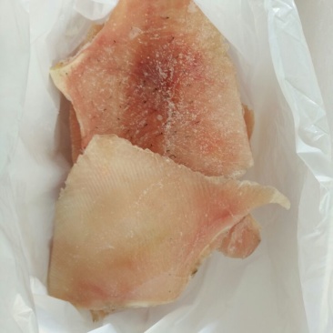 鳐鱼翅