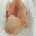 鳐鱼翅