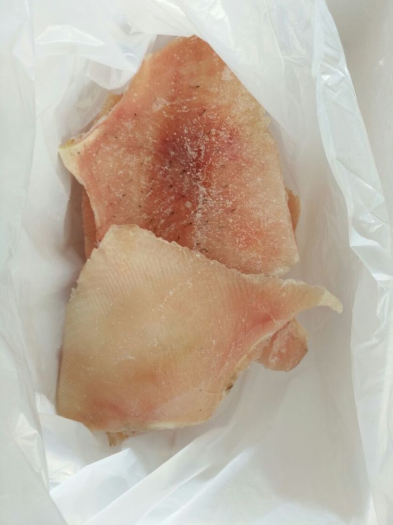 鳐鱼翅