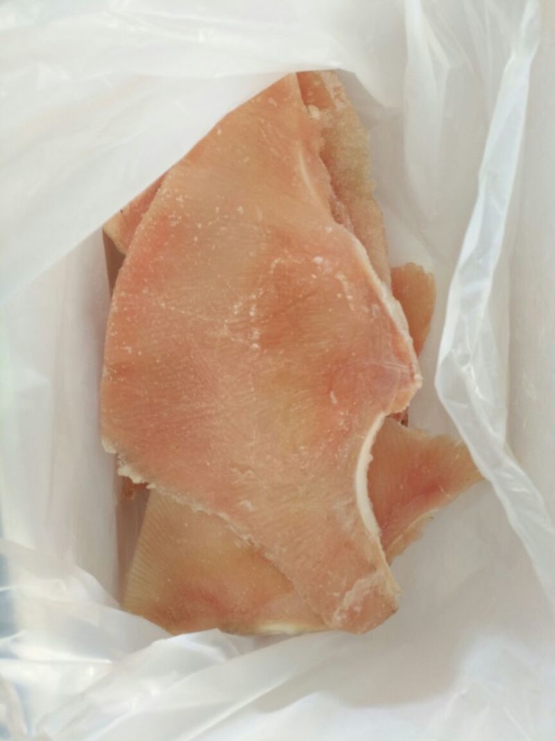 鳐鱼翅